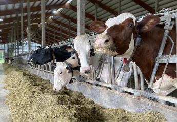 Michigan Milk Producers Association, Canadian Dairy Distillery Partner to Upcycle Dairy Byproduct Into Biofuel  