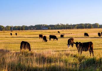 Sustainable Beef Systems Can Achieve Climate Neutrality 