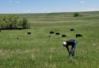 Mineral Nutrition for the Beef Cow Herd Program to Begin in May