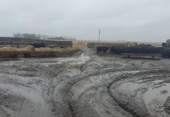 North Dakota Ranchers Should Prepare for Flooding