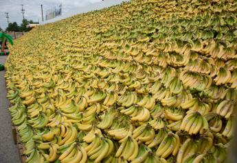 Fresh Del Monte and Jewel-Osco banana display breaks Guinness World Record