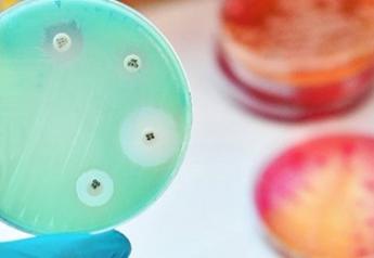 USDA Awards $3.2 Million to Fund Antimicrobial Resistance Dashboards