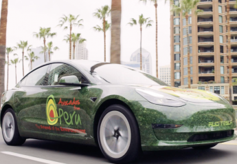 Meijer, Lidl are giving away Tesla cars for Avocados from Peru promotion