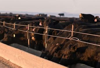Producers to Be Paid Grid Premiums for AngusLinkSM Beef Scores