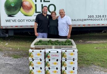 WP Produce leans into Florida avocados