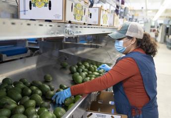 Del Rey Avocado completes overhaul of Fallbrook packinghouse