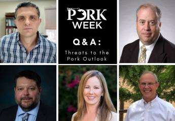 Economists Urge Pig Farmers to Watch Out for These Threats to Pork Outlook