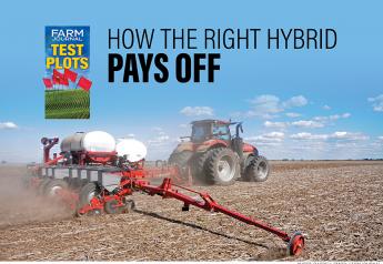 Farm Journal Test Plots: How the Right Hybrid Pays Off