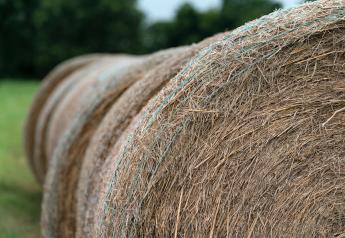 The Importance of Hay Moisture