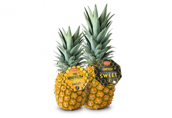 Fresh Del Monte launches Mini Honeyglow pineapple