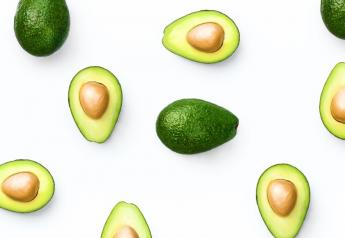 LGS Specialty Sales starts sourcing avocados from Jalisco, Mexico