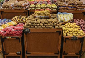 Prices elevated but potatoes offer consumers good value