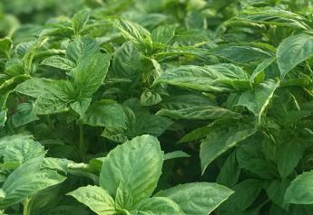Local, sustainability key to successful herb marketing