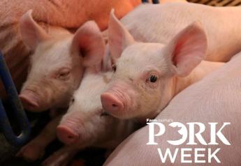 Cash Weaner Pig Prices Average $41.07, Up $0.34 Last Week
