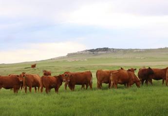 Plan Now for the 2023 Grazing Season