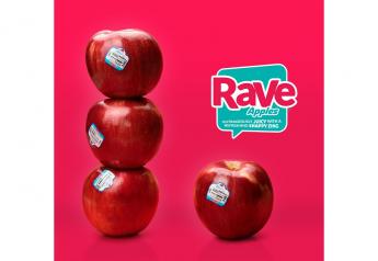Stemilt gears up for start of Rave apple season