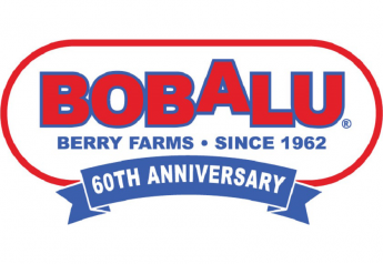 Bobalu Berries adds private label option for foodservice packs