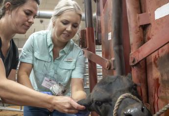 Women-only Cattle Camp Empowers Female Ranchers