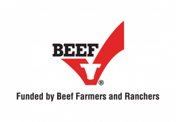 Beef Promotion Operating Committee Approves 2024 Checkoff Plan