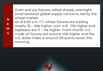 Wheat Leads Strong Price Rally Overnight