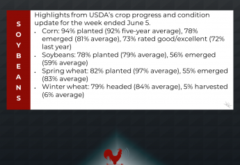 Highlights From USDA’s Crop Progress and Condition Update