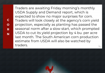 Traders Await Friday's Supply and Demand Report