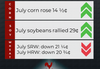 Corn and Soybeans Rally