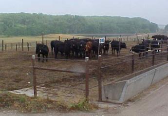 Meeting Water Needs of Cattle in the Feedlot