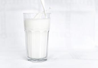 December Milk Price Futures Start to Look Concerning