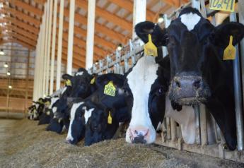 February Milk Production Report Shows Lackluster Numbers 