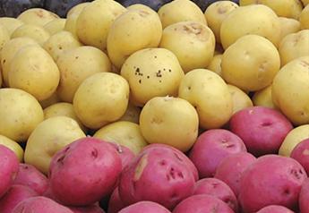 Meet the growers leading the Potatoes USA committees