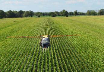 To Spray or Not To Spray? Fungicide Decisions in 2022