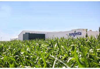 Syngenta debuts $15M global vegetable seeds quality control lab