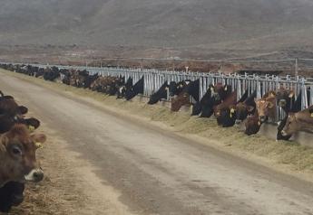 Latest USDA Milk Production Report: Cow Numbers Up, Milk Production Up
