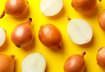 Strebin Farms adds organic onions 