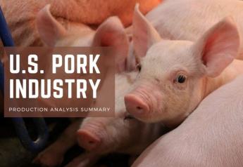 Mortality Continues to Challenge Pork Producers