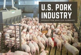 Don’t Miss the Bright Spots in the U.S. Pork Industry Benchmarking Data