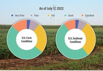Corn and Soybean Crop Conditions Hold Steady