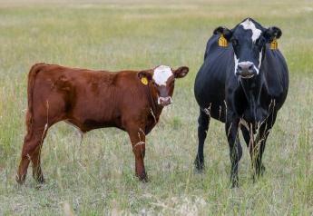Managing Cows Through Dry Conditions: What Options Do I Have?