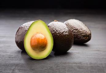 Westfalia kicks off Colombian avocado season
