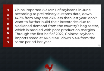 China Soybean Imports Slowed in June