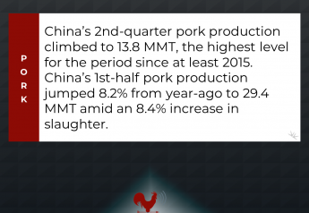 Chinese Pork Production Surges