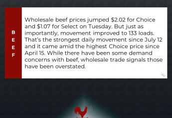 Big Day for Wholesale Beef Trade