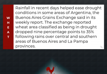 Rains Aid Some of Argentina’s Wheat Crop