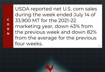 Net U.S. Corn Sales Drop