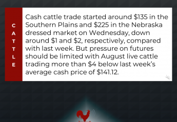 Cash Cattle Trade