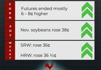 Soybeans Rally to Highest Close in a Week