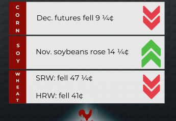 Corn Futures Sink to a 6-Month Low