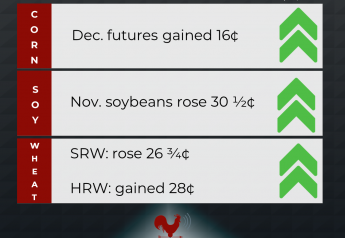 Soybean Futures Surge to Four-Week High
