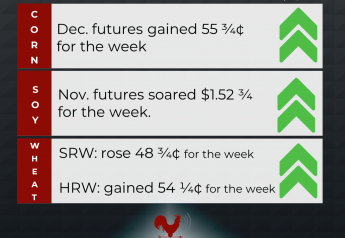 Weekly Market Recap (7/29)